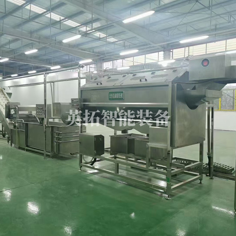 广西南宁百香果饮料生产线案例